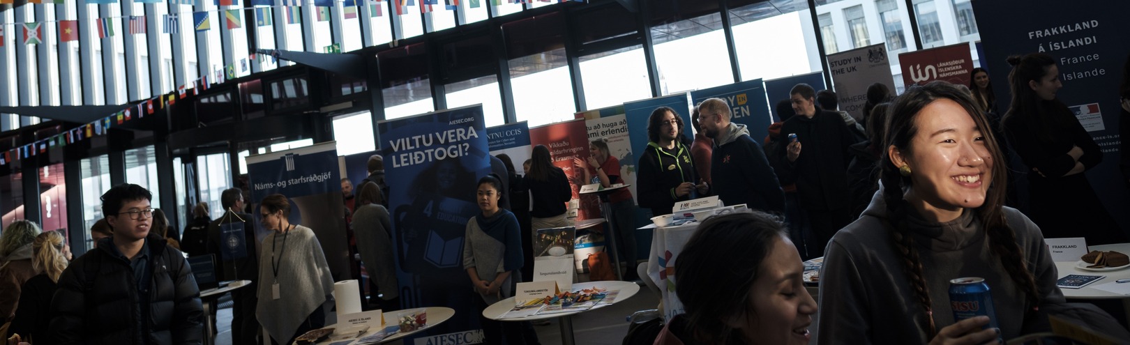 International Festival - Available at University of Iceland