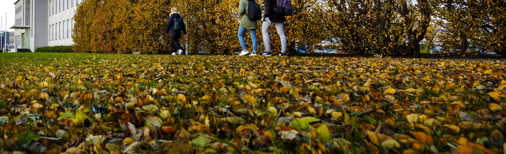 A tour to the Grótta shore - Hiking trips with Science tips - Available at University of Iceland