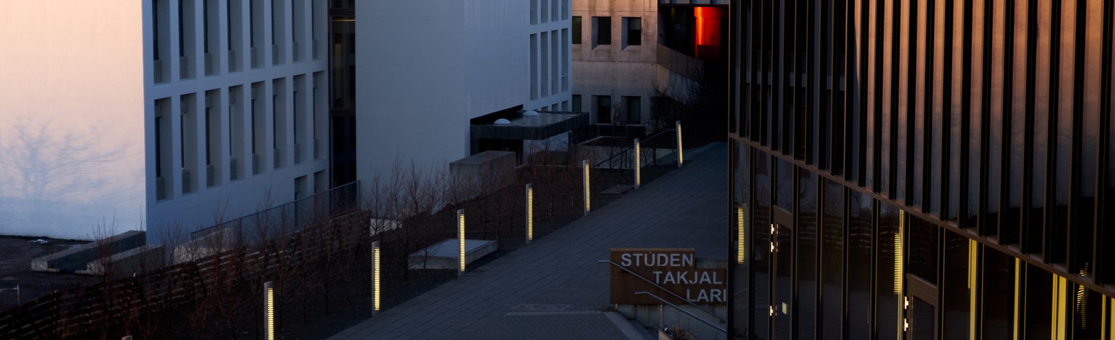 Feminism and Gender Studies as a force for social change in Chile and Iceland - Available at University of Iceland