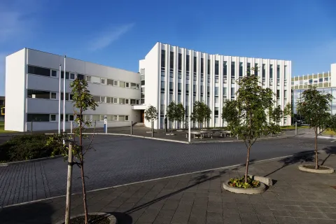 University of Iceland, Oddi