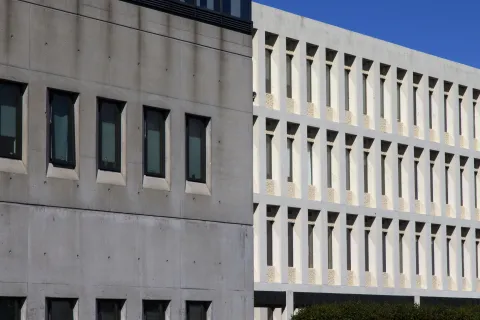 text