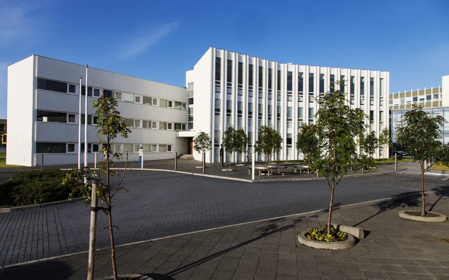 University of Iceland, Oddi