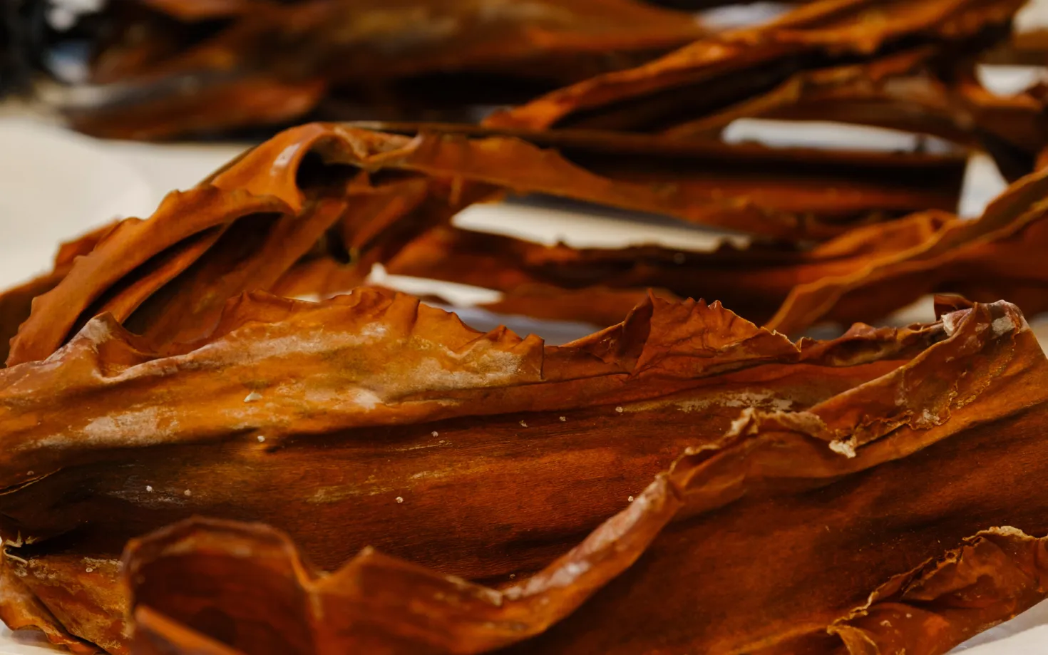 Dry seaweed