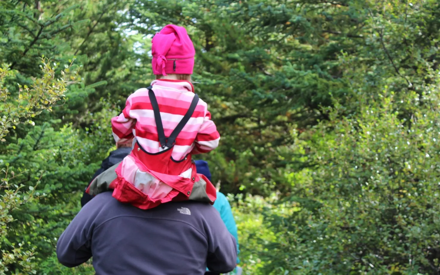 Young person sitting on man's shoulders