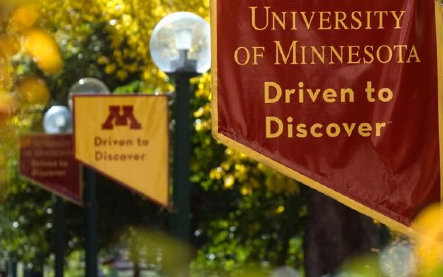 University of Minnesota