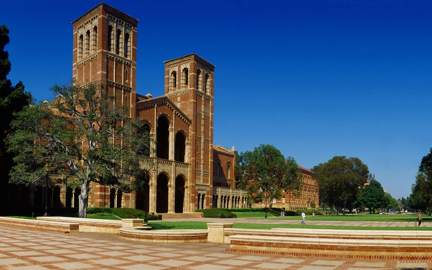 UCLA