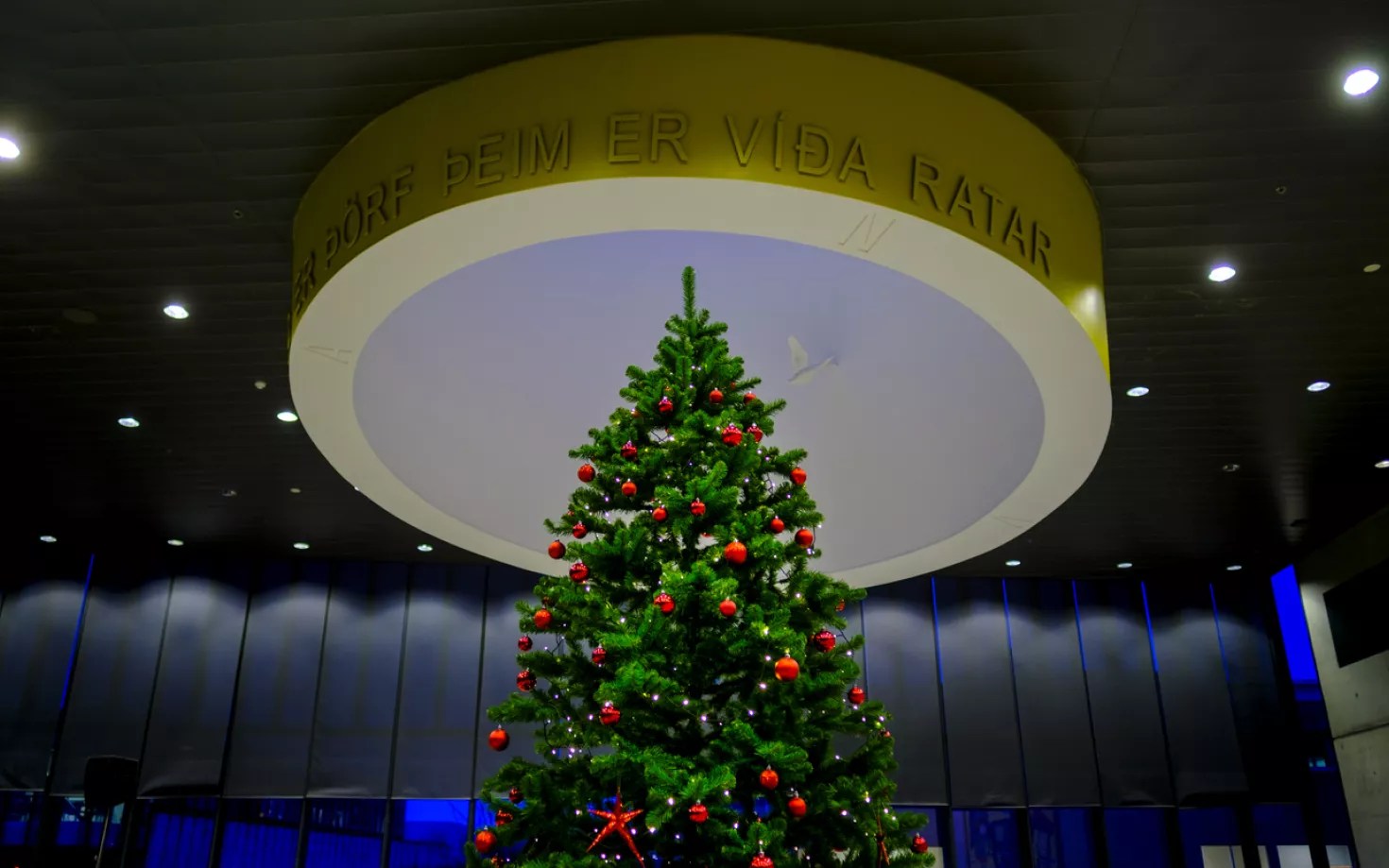 Christmas tree at University centre