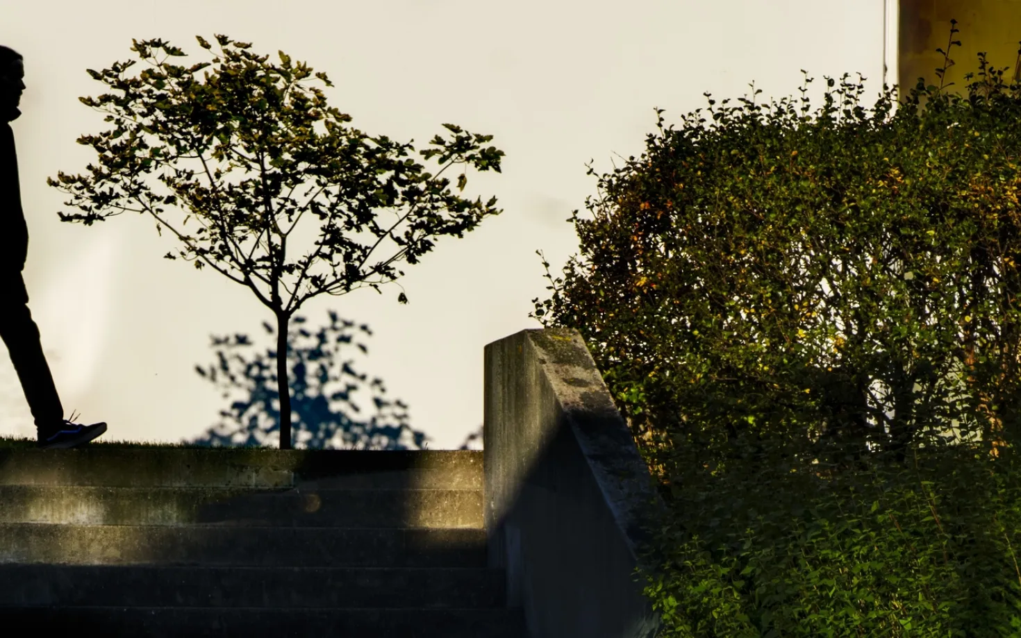 Silhouette of a person walking outside