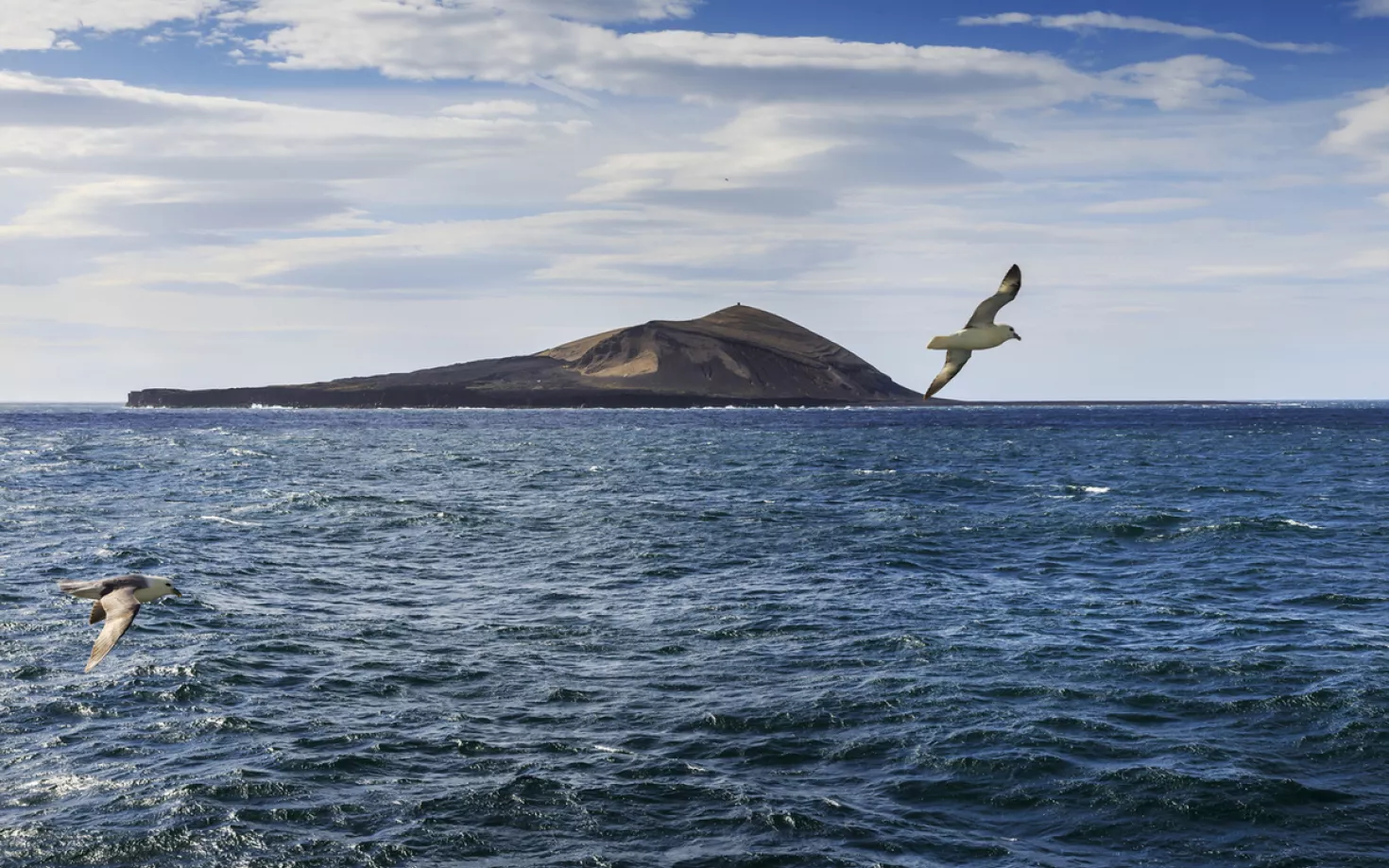 Surtsey. Seagulls flying above the sea