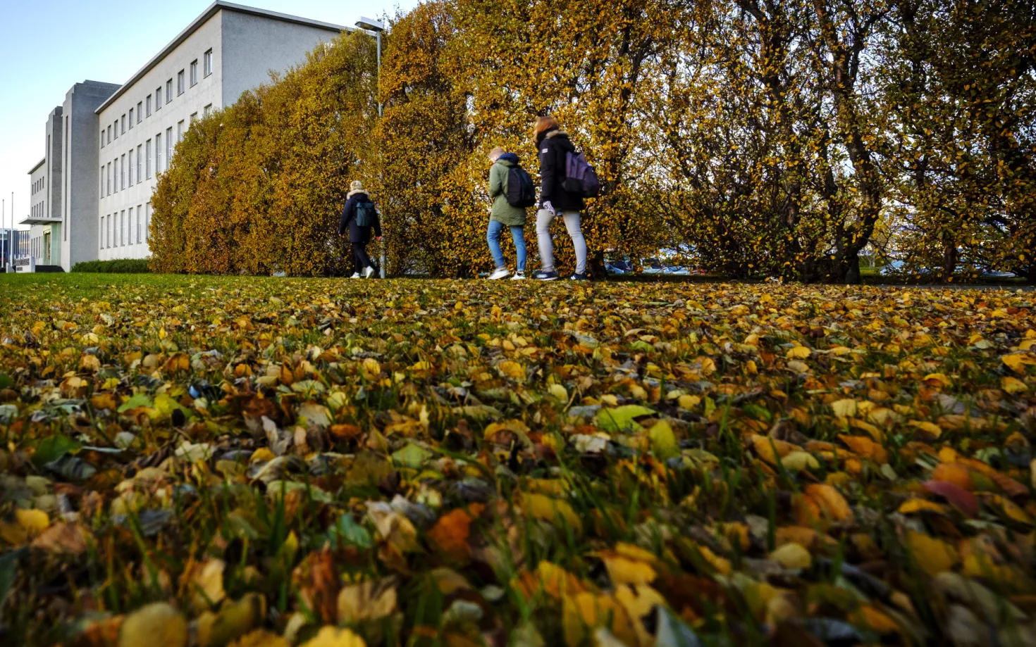 People walking towards University of Iceland Main Building in the fall
