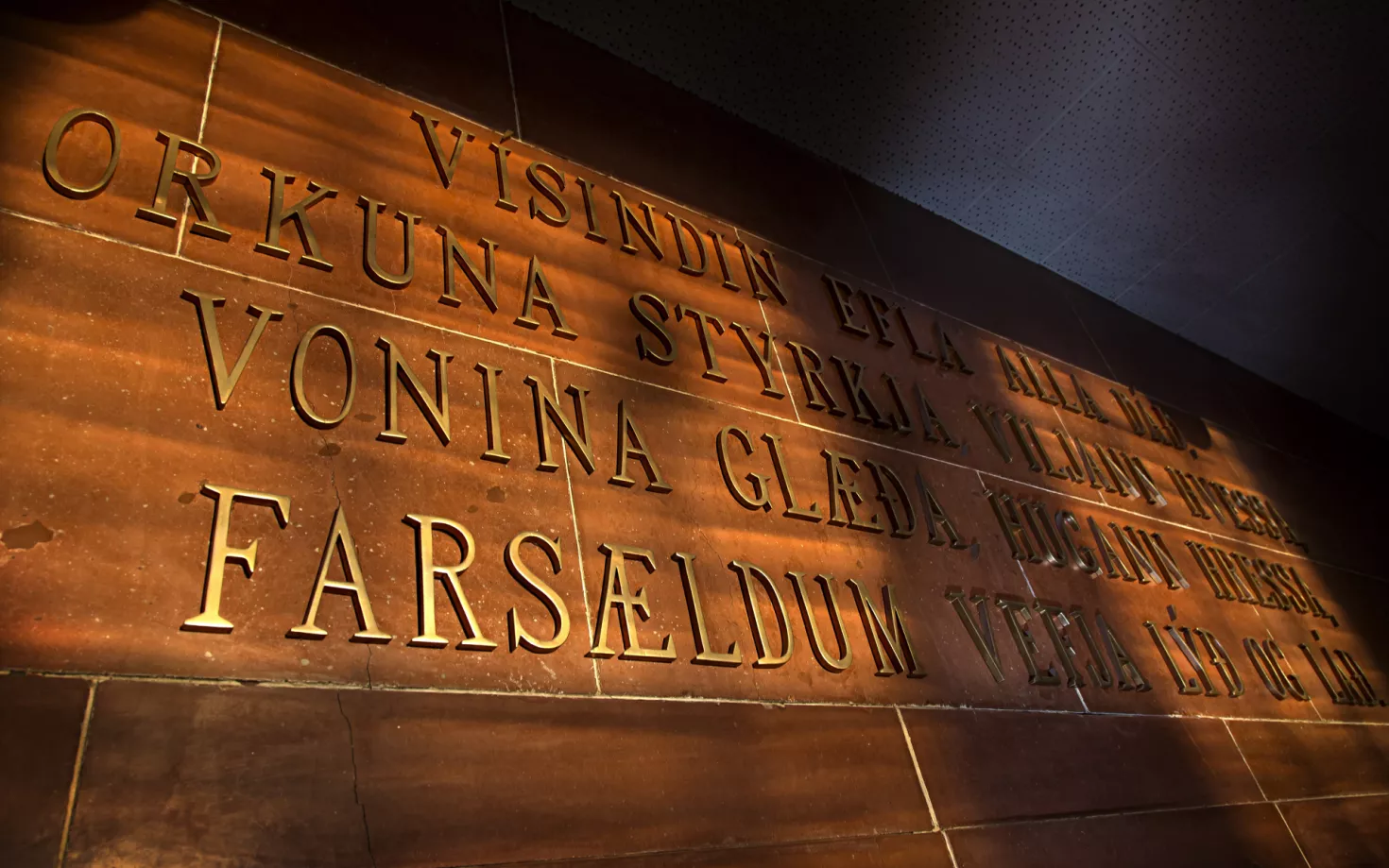Vísindin efla alla dáð