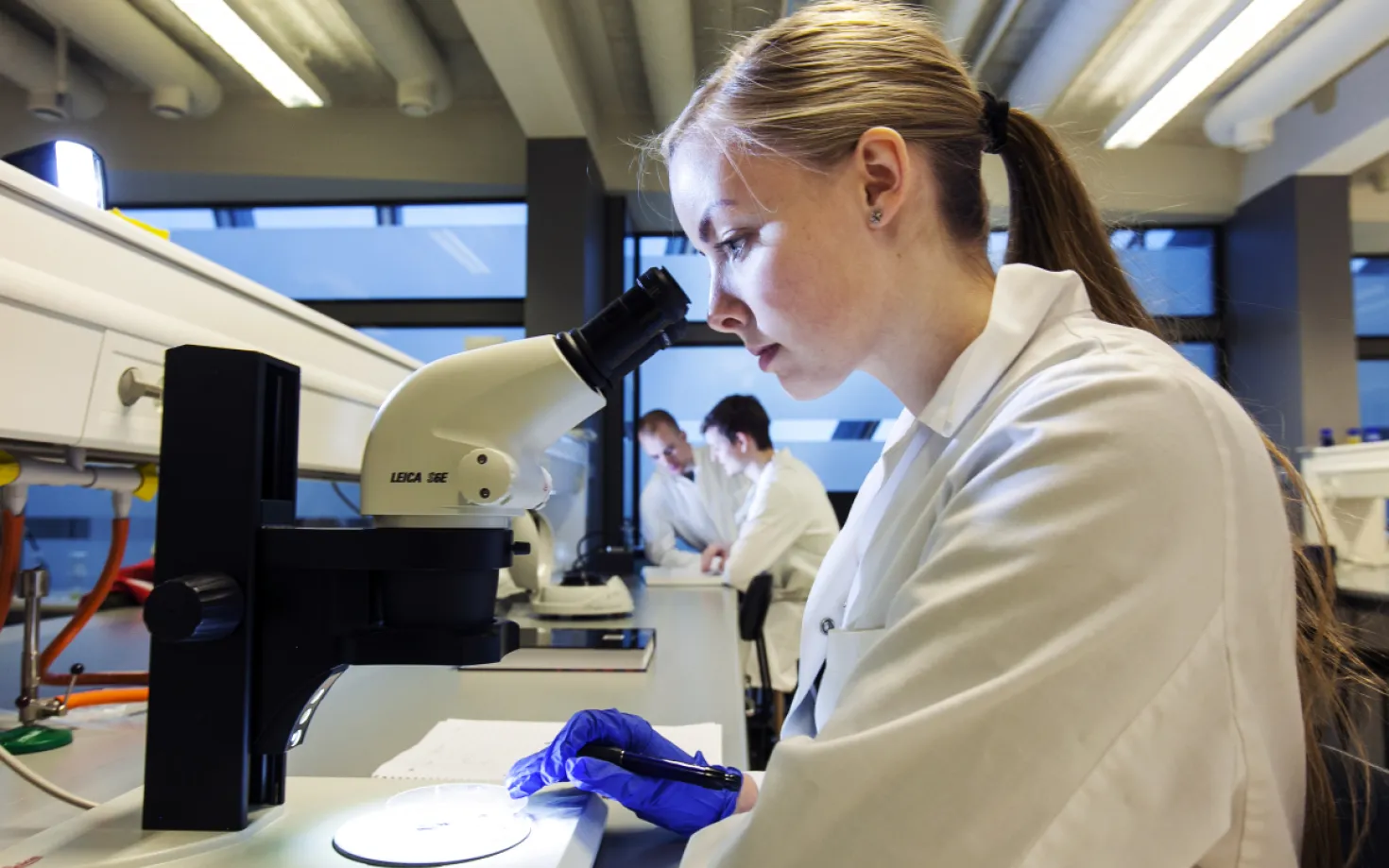Scientist working at a microscope