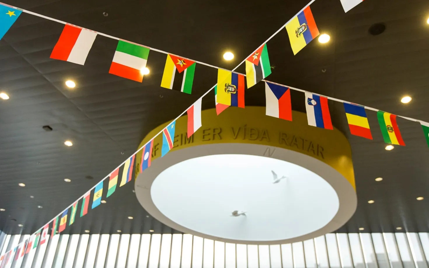 Flags in University centre, University of Iceland