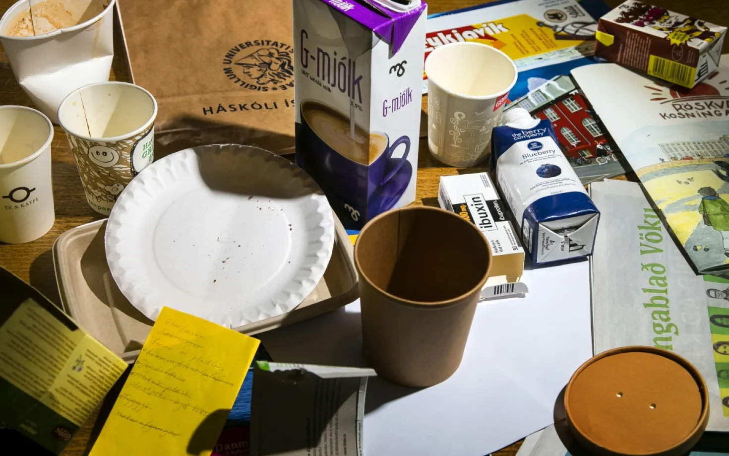 Recycling at University of Iceland