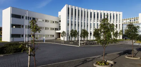 University of Iceland, Oddi