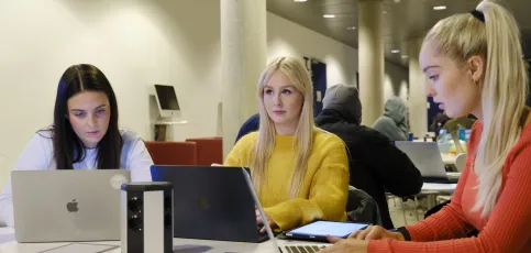 Students at the University of Iceland