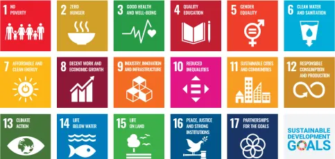 United Nations Sustainable Development goals icons