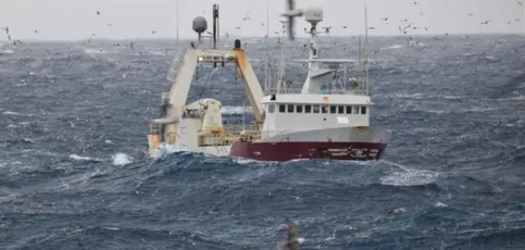 fishing vessels