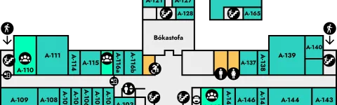 Main Building, floor plan, 1st floor