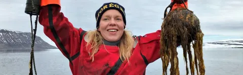 Researcher in drysuit with kelp in her hand