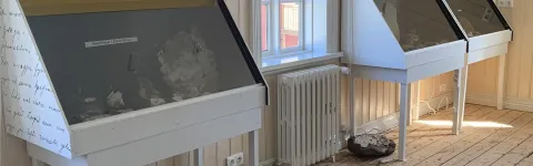 The diversity of minerals and rocks in East Iceland