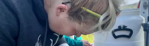 Research student takes a sample from a fishtail.