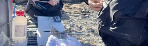 Research students measuring fish