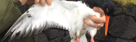 ""