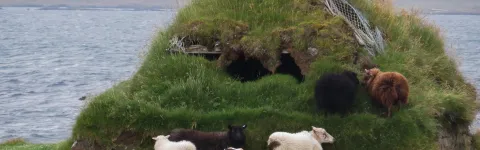 ""