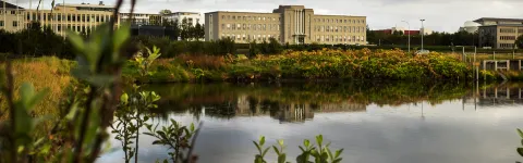 University of Iceland, Main building