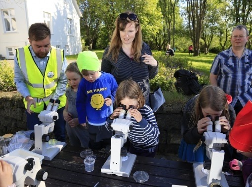 Bugs life - bug wathcing in Elliðaárdalur - Hiking trips with Science tips