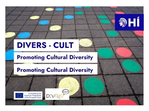DIVERS-CULT: Promoting cultural diversity in primary and lower secondary schools