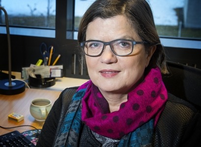 Unnur Dís Skaptadóttir, professor at the Faculty of Social and Human Sciences