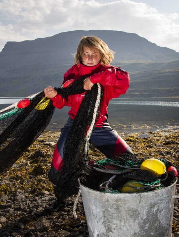 phd in biology in iceland