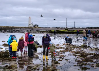 Families exploring on the Grótta beach.