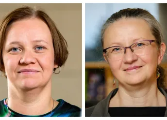 Icelandic Sign Language and heritage languages are a resource in the school system
