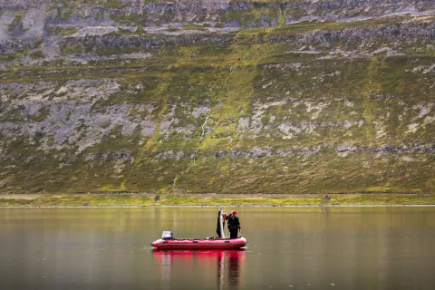Research in Álftafjörður