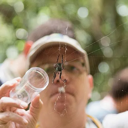Ingi Agnarsson capturing a spider