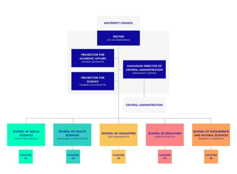 University of Iceland organizational structure.On top University Council, next in line Rector and Protectors and Managing director of Central Administration, then deans of Schools.