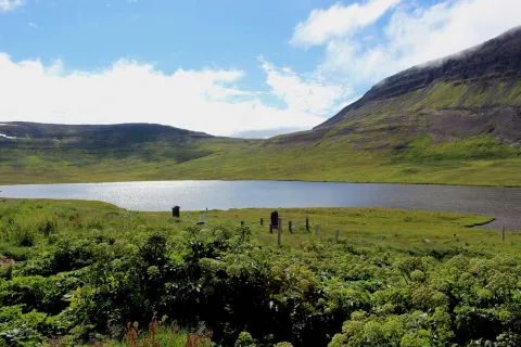 Hornstrandir