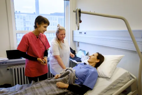 Faculty of nursing