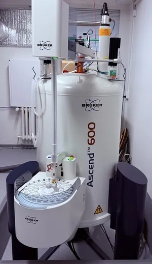 Bruler Avance 600