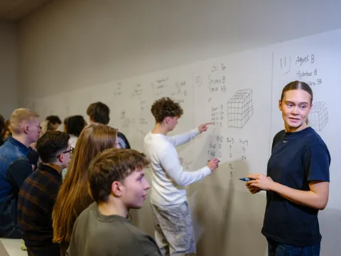 A picture of students during a mathematics class at the University of Iceland. IMAGE/Kristinn Ingvarsson
