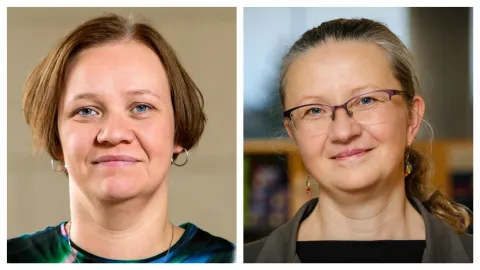 Icelandic Sign Language and heritage languages are a resource in the school system