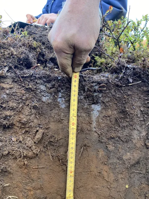 measuring