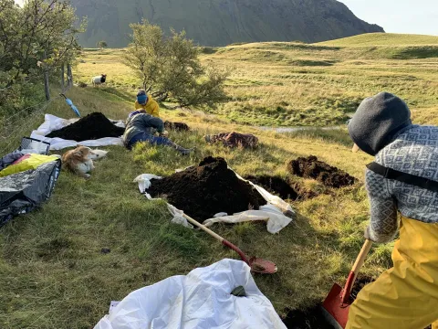 Researchers at work