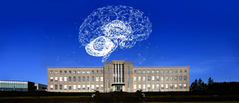 Main building, with drawing of a brain