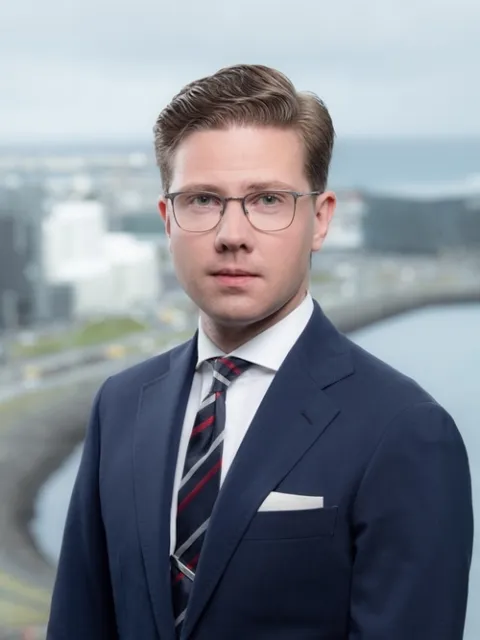 Portrait photo of Elvar Austri Þorsteinsson