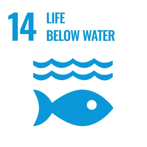UN SDG 14 - Life Below Water