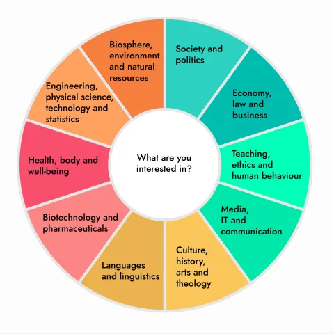 Study wheel sectors with category of interest